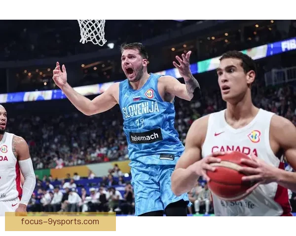 加拿大世界杯赛事回顾与分析：精彩瞬间与赛场亮点揭秘